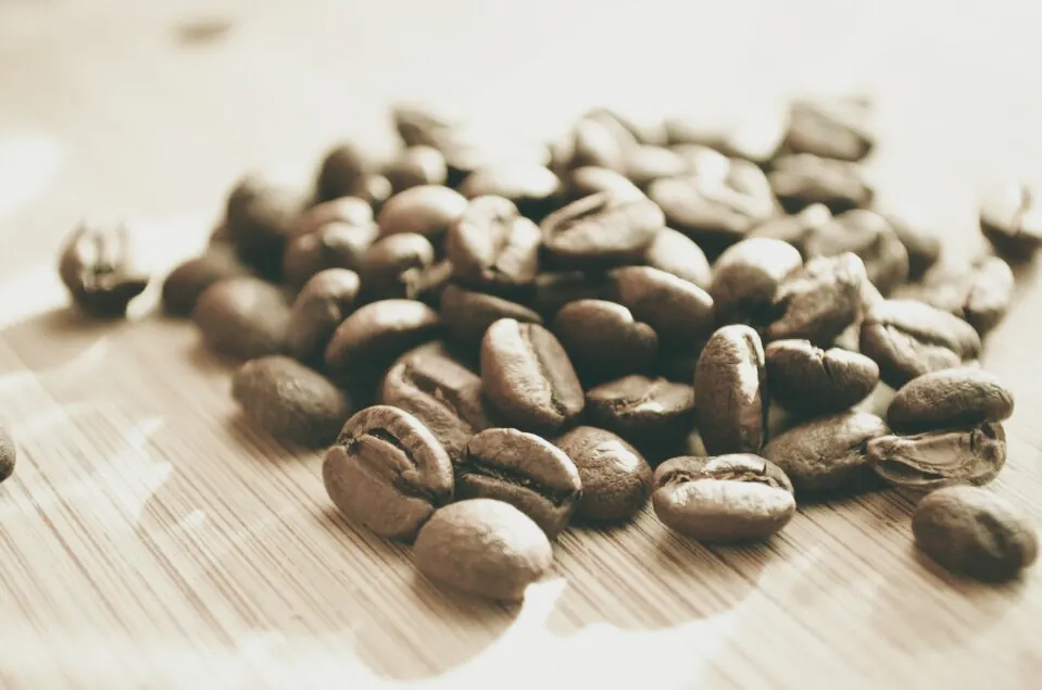 Roasted coffee beans